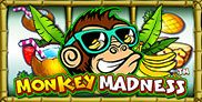 Monkey Madness