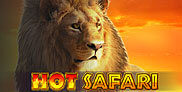 Hot Safari